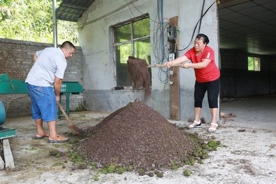 變廢為寶！劍河縣創新研發廢舊菌棒發酵生物飼料助力養殖業降本增效