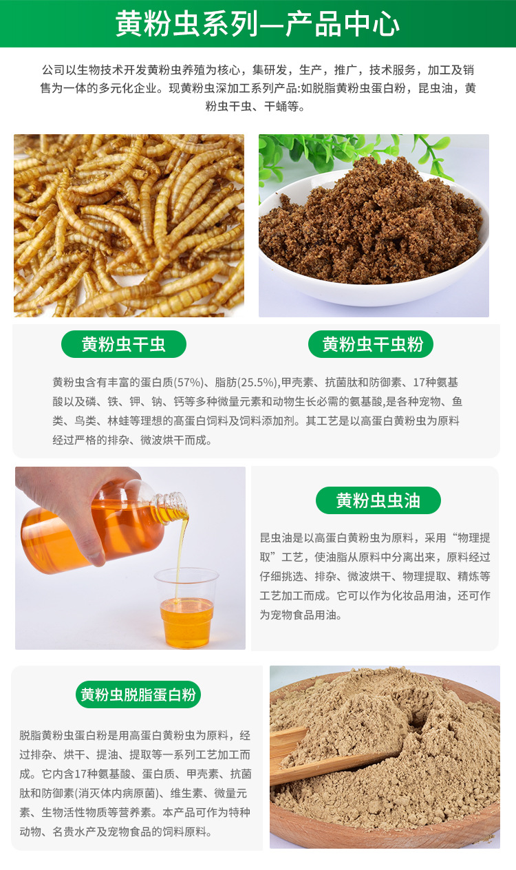 面包蟲干 小身材大營養，一站式全寵物營養解決方案