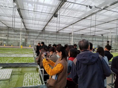 廊坊百姓的數(shù)字生活 重點網(wǎng)絡(luò)媒體集中采訪行走進永清