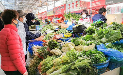 中國大媽挖野菜到底什么迷惑行為